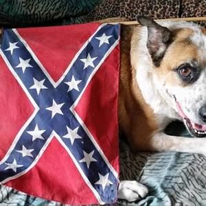 Meet your Posher, Esther